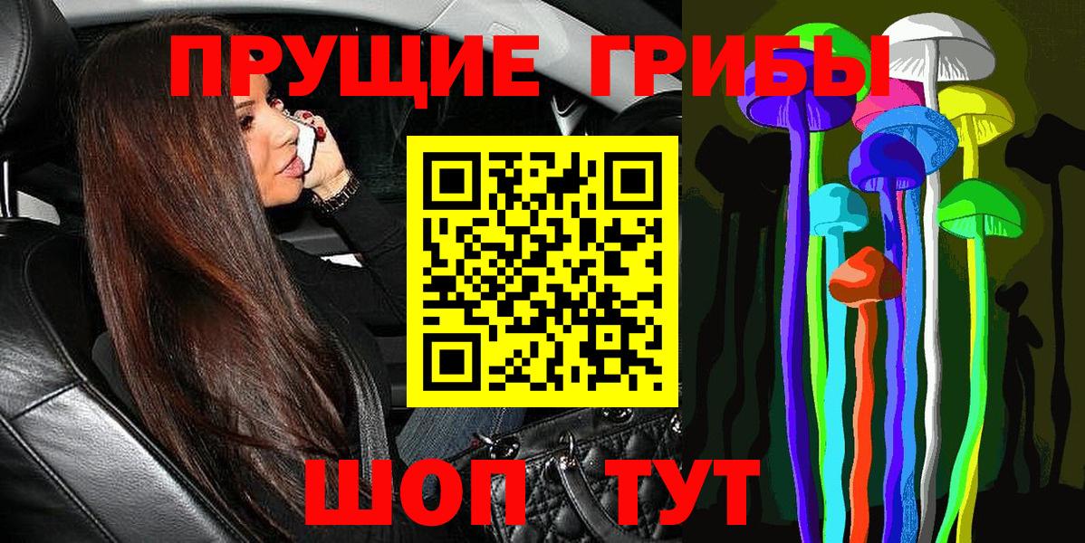 Псилоцибиновые грибы ЛСД Гусиноозёрск