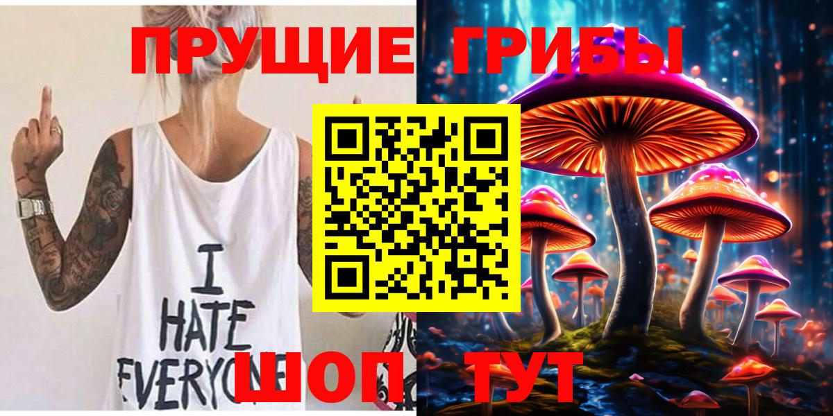 Псилоцибиновые грибы MAGIC MUSHROOMS  Вход с VPN  Гусиноозёрск 